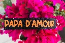 Porte-clés "Papa d'amour " 