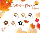 Flowever Automne *Fleurs supplémentaires* 