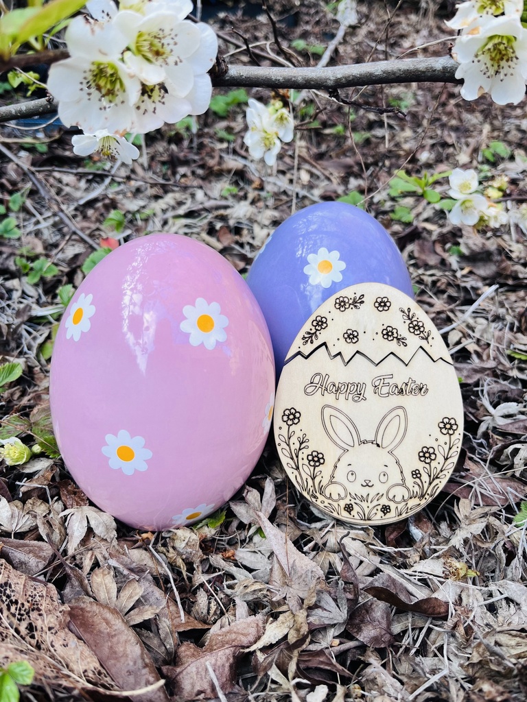 Oeuf Surprise en bois